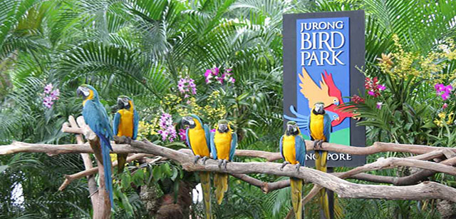Dining-Jurong-Bird-Park