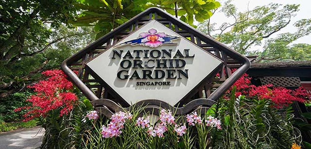 national-orchid-garden