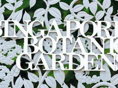 singapore-botanic-garden