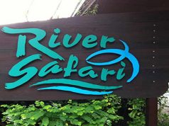 river-safari-singapore