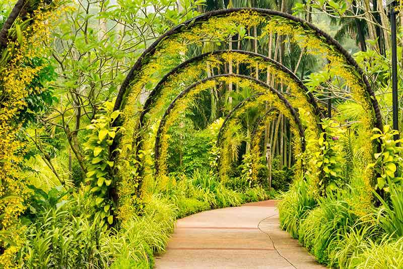 Walking Trail Botanic Gardens Image