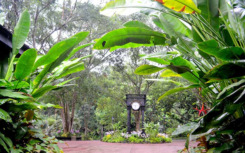 Botanic Gardens 